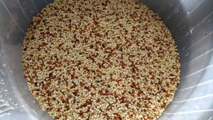 Soaked quinoa
