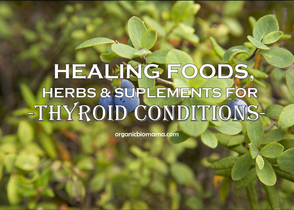 Healing Foods Herbs Supplements for Thyroid problems