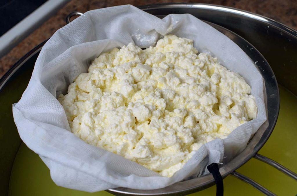 soft cottage cheese - how to make soft cottage cheese at home